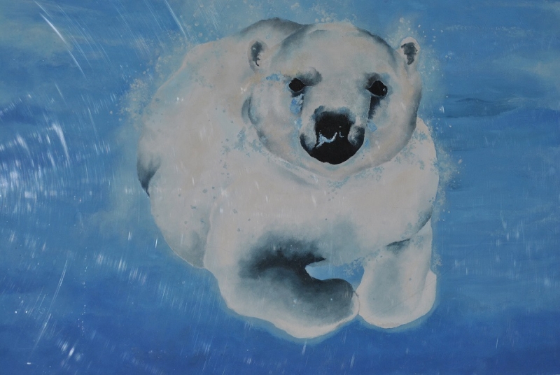 Rozdanie nagród w konkursie "Zwierzęta obszarów polarnych"