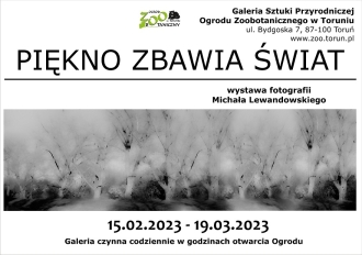 Plakat wystawy fotografii Michała Lewandowskiegp pod tytułem "Piękno zbawia świat"