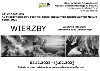 Plakat wystawy fotografii Jarosława Jana Jeleńskiego pod tytułem Wierzby