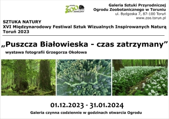 Plakat wystawy fotografii Grzegorza Okołowa "Puszcza Białowieska-czas zatrzymany"