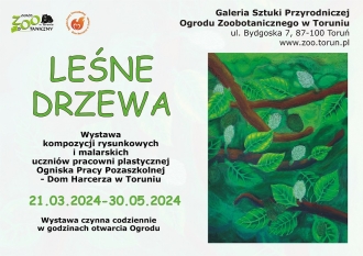 Plakat wystawy kompozycji rysunkowych i malarskich uczniów pracowni plastycznej Ognisko Pracy Pozaszkolnej - Dom Harcerza w Toruniu pn.:"Leśne drzewa"
