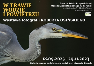 Plakat wystawy fotografii Roberta Osińskiego "W trawie, wodzie i powierztu"